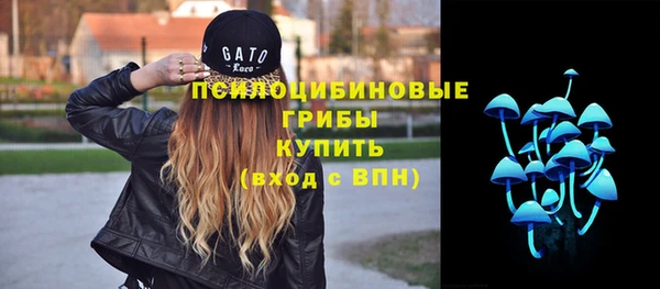 стафф Богородицк