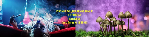 ALPHA PVP Богданович