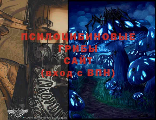 стафф Богородицк