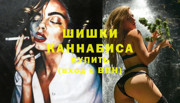 марки lsd Бородино