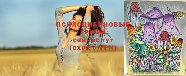 марки lsd Бородино