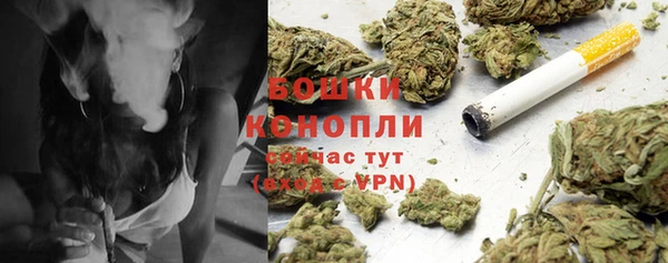 марки lsd Бородино