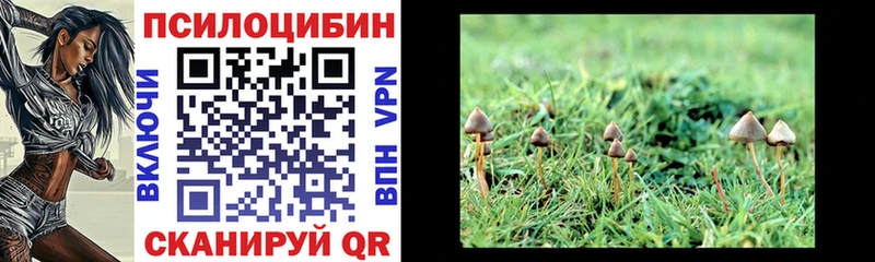 Галлюциногенные грибы прущие грибы  Суворов 